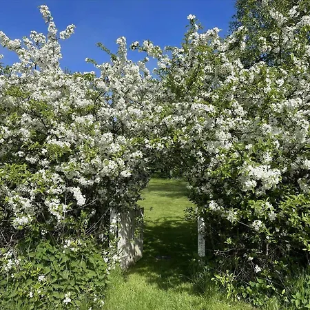 Prázdninový dům 1677-hundested-klitgardsvej-9 Kikhavn